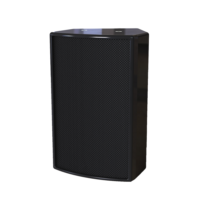 6-Inch Two-Way Passive Loudspeaker